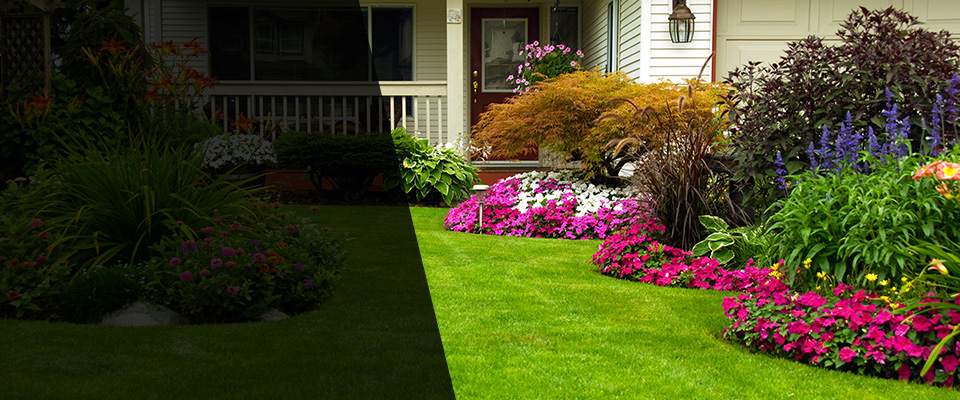 Piedmont Landscapers